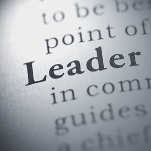 Project Leadership Skills
