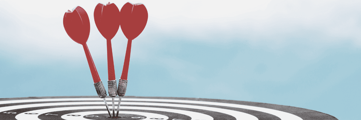 valore professionale e obiettivo professionale